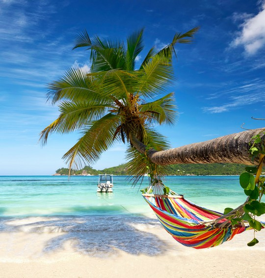 Budget relax